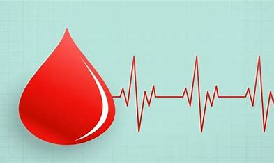 Blood Bank Management System